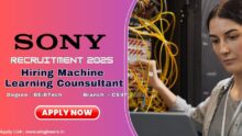 Sony Machine learning consultant salary